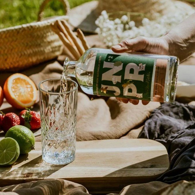 JNPR 3 LE BOTANIQUE GIN SANS ALCOOL ET SANS SUCRE