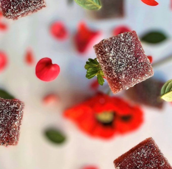 PATES DE FLEURS - COFFRETS BOURGEON