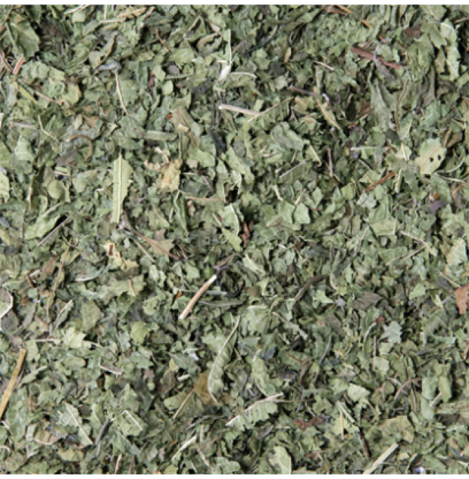 VERVEINE