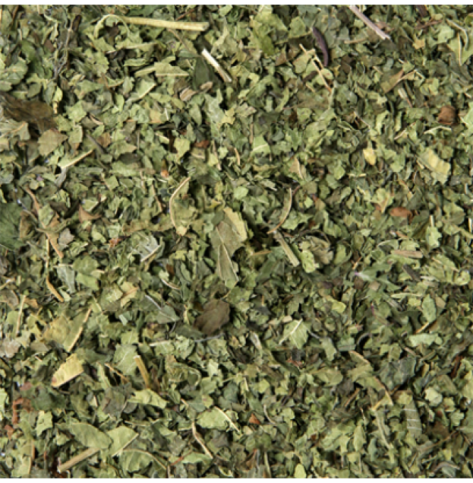 VERVEINE MENTHE