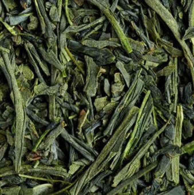 SENCHA KOCHI SAMAYAKAORI