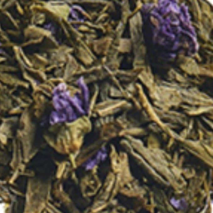 VIOLETTE