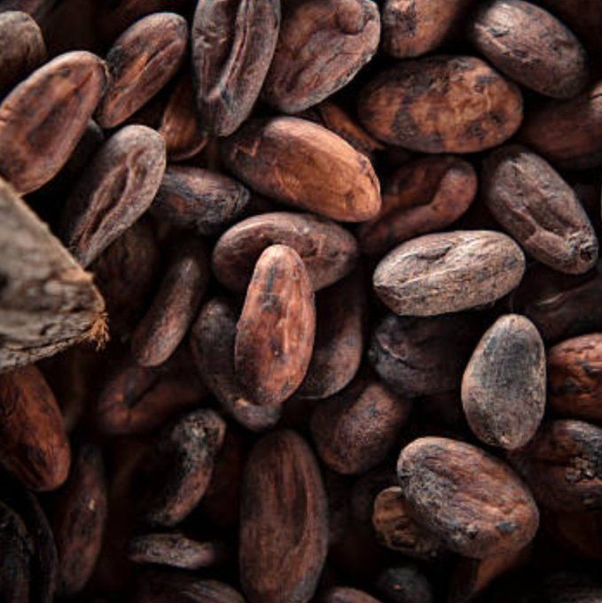 FEVES DE CACAO