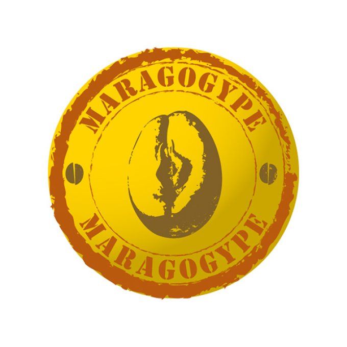 NICARAGUA MARAGOGYPE