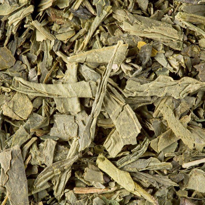 SENCHA DE CHINE